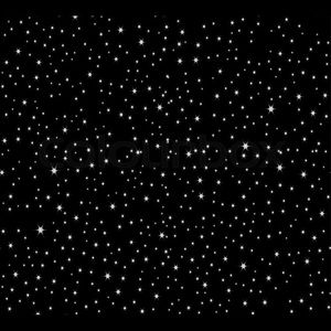 Meet your Posher, Sheila